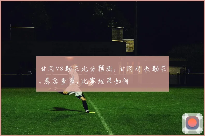 甘冈vs勒芒比分预测,甘冈对决勒芒,悬念重重,比赛结果如何