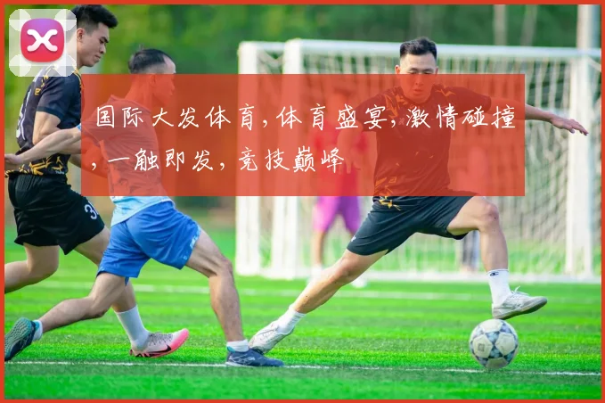 国际大发体育,体育盛宴,激情碰撞,一触即发,竞技巅峰